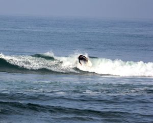 Baja Surf