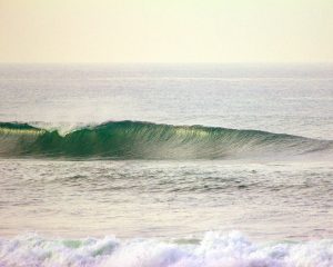 Baja Surf