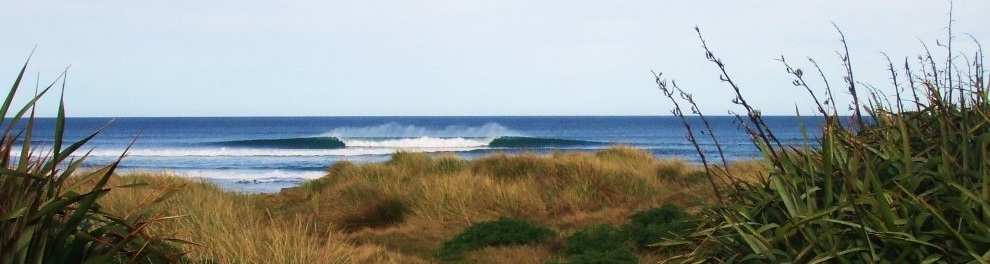 Dunedin Wave