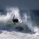 Don Harris at Huntington Beach