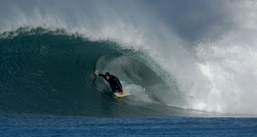 Mike Sears